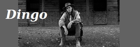 Dingo Interview 29-10-26